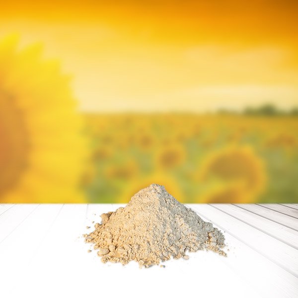 Sonnenblumen-Lecithin statt Soja